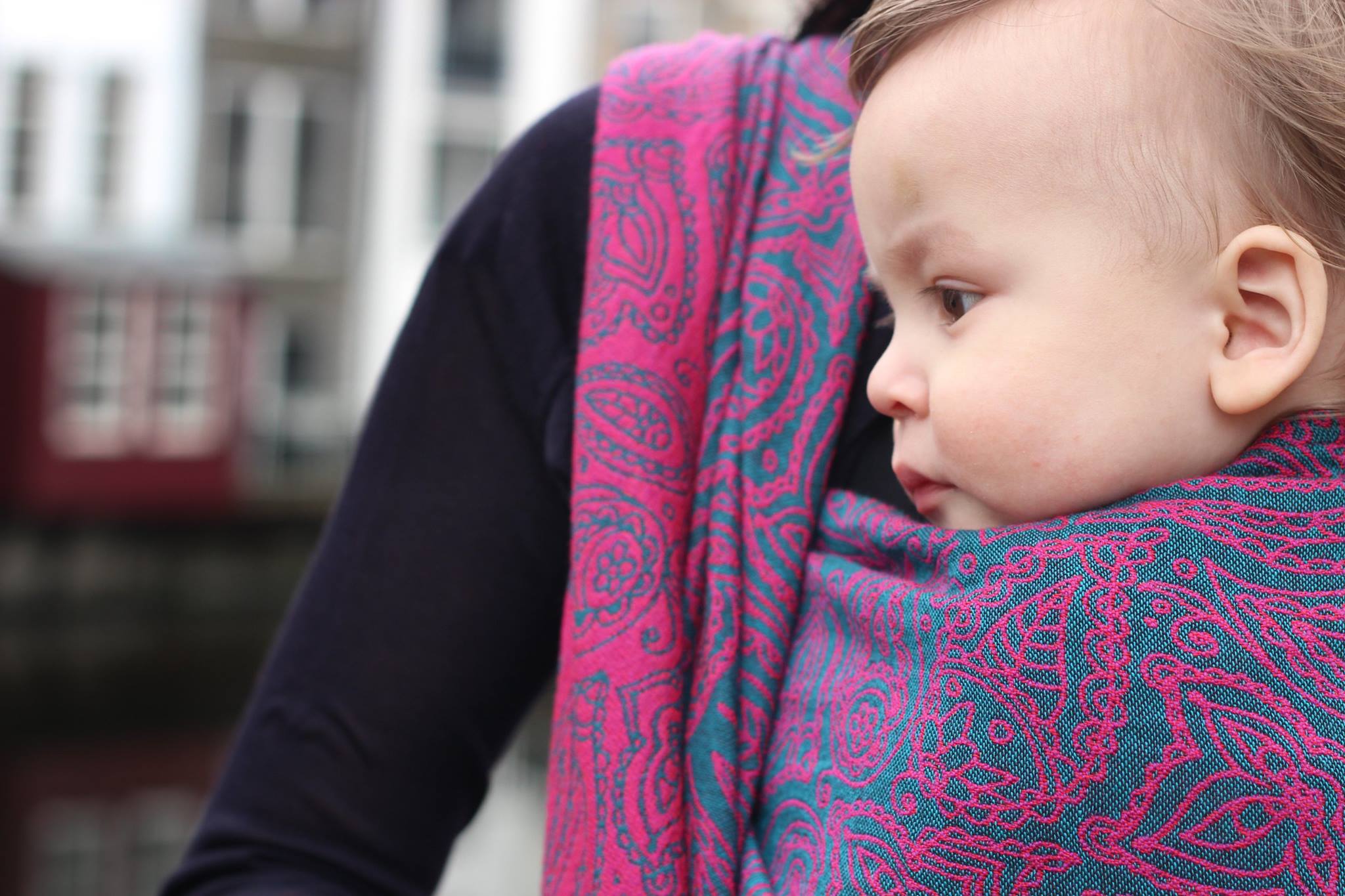 26685101_1915421198472929_8942804506141566570_o