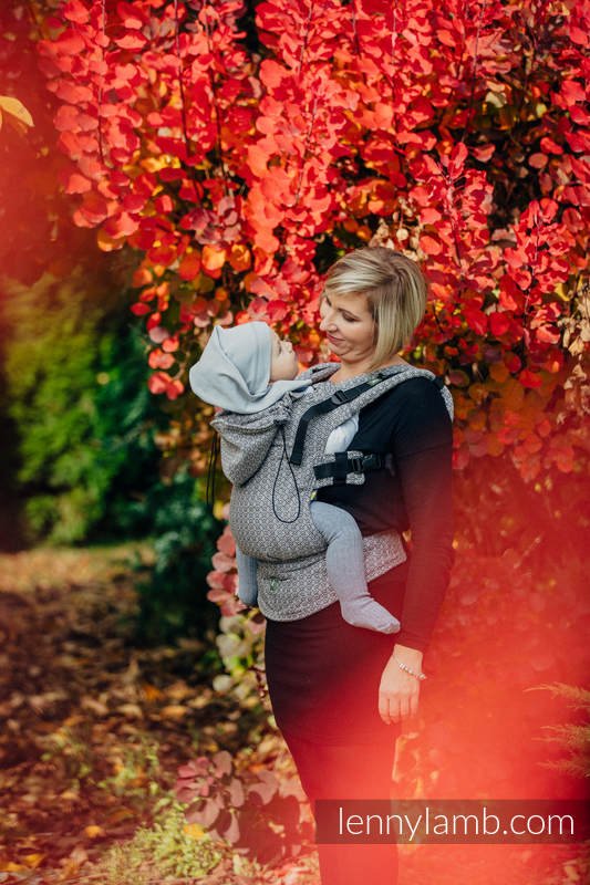 Lenny Lamb – Baby – Little Love Mystery