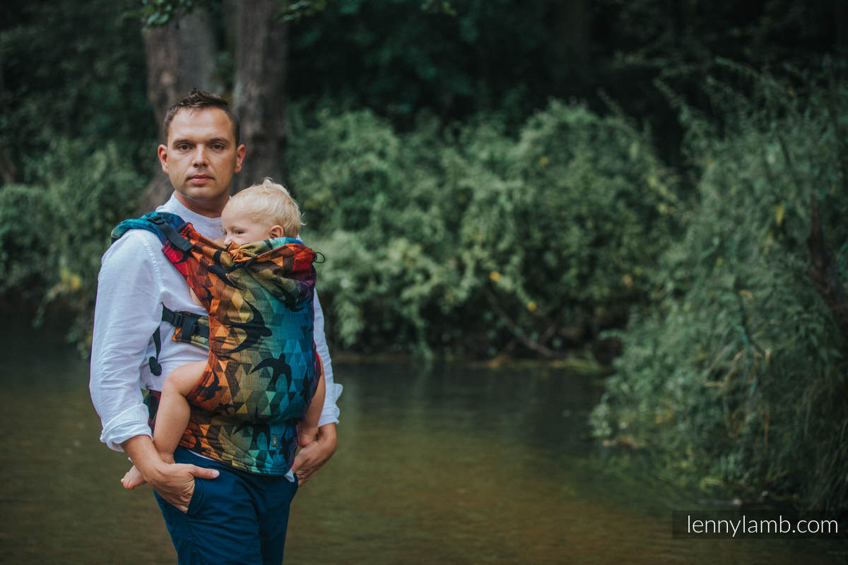 Lenny Lamb – Baby – Swallows Rainbow Dark