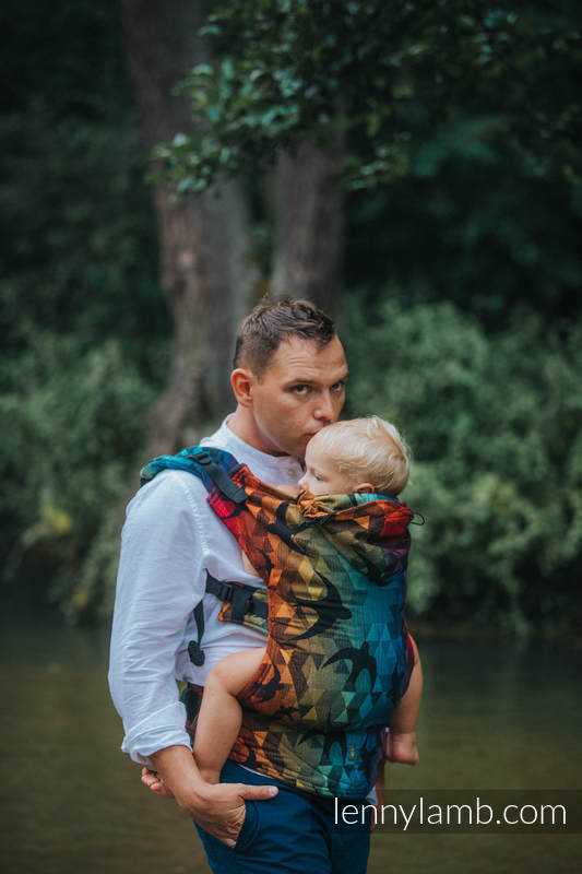 Lenny Lamb – Baby – Swallows Rainbow Dark