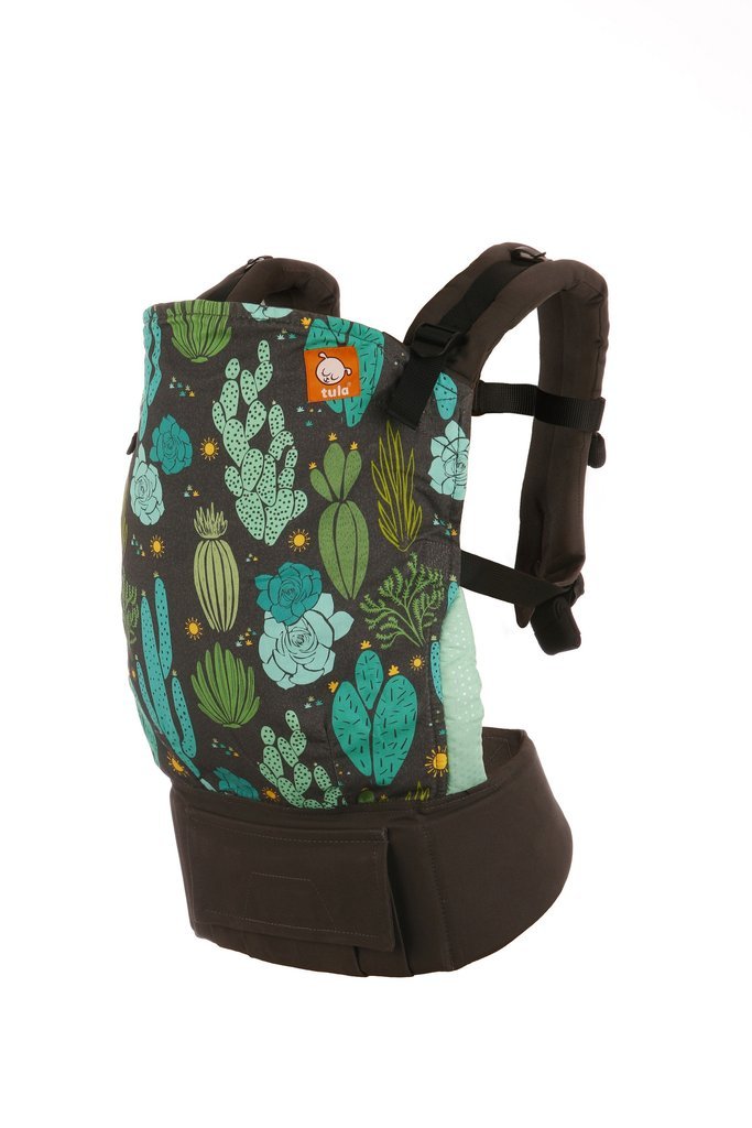 Tula Toddler - Cacti