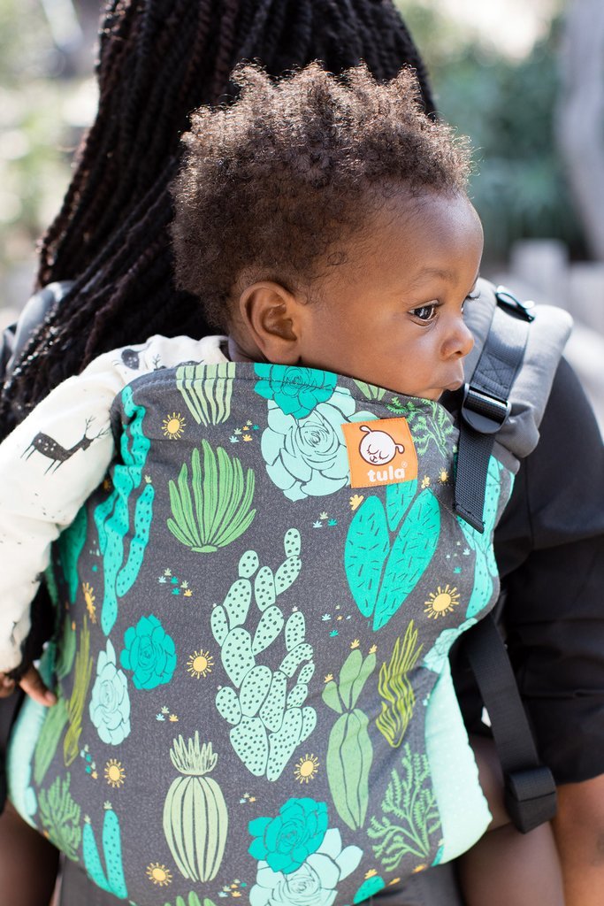 Tula Toddler - Cacti