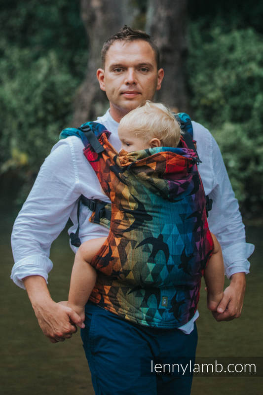 Lenny Lamb – Baby – Swallows Rainbow Dark