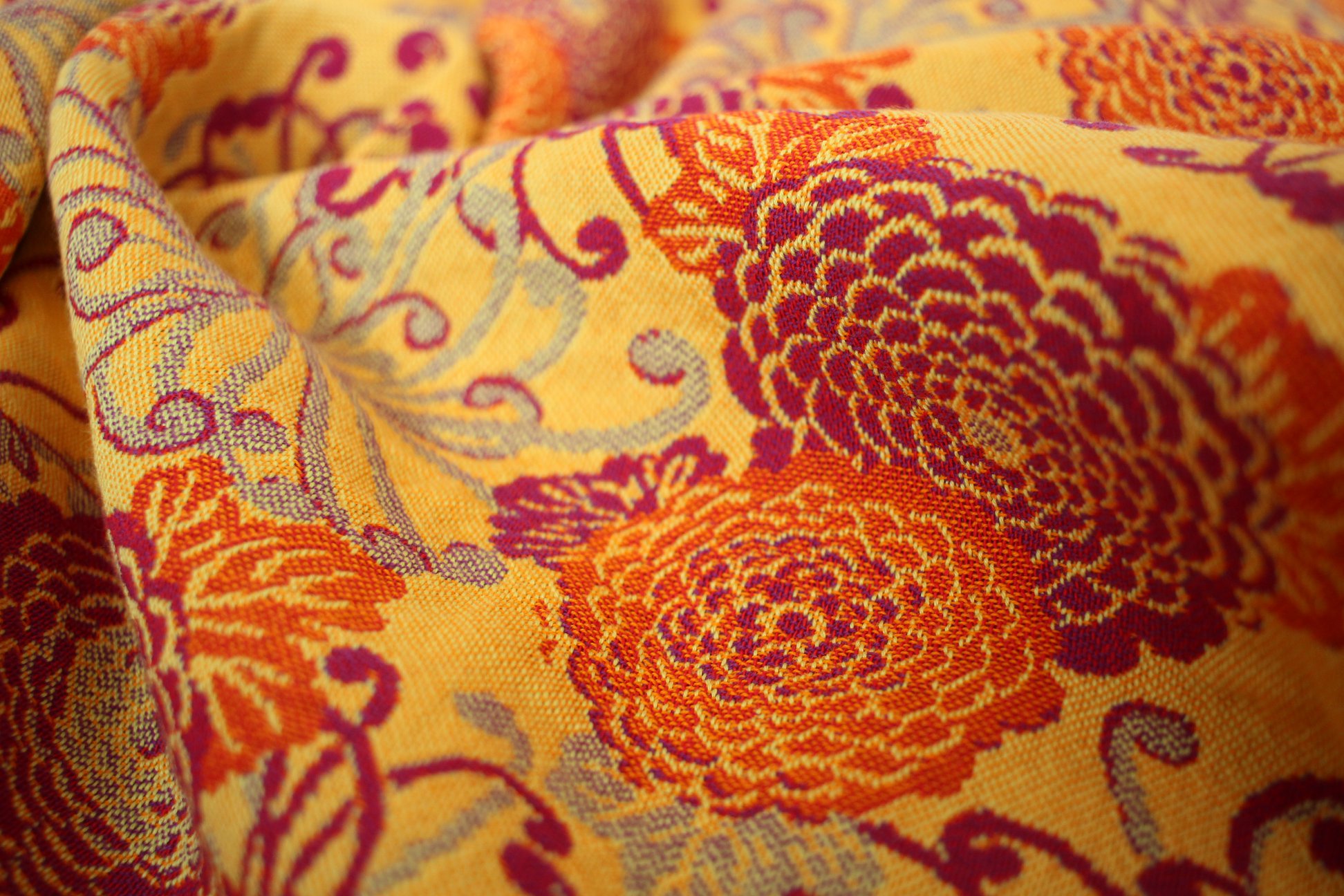 34107635_2073519665996414_6971180290223898624_o