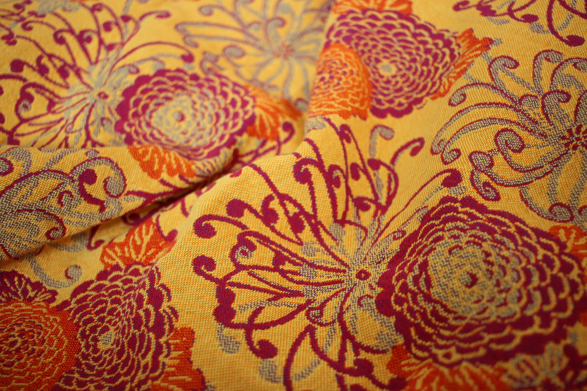 34302097_2073519779329736_8246199803726266368_o