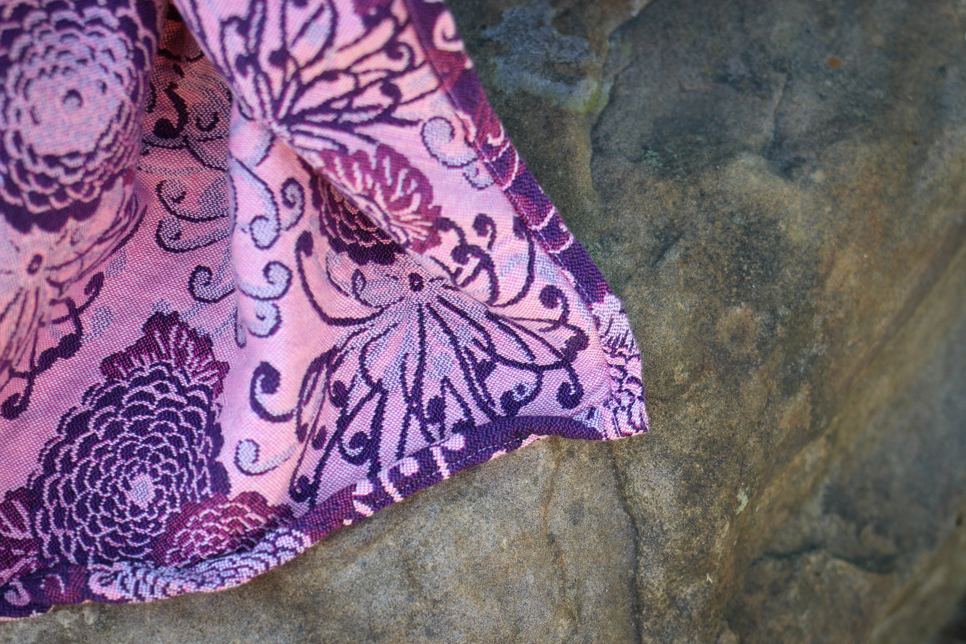 36365564_2111134678901579_6783718217727606784_o