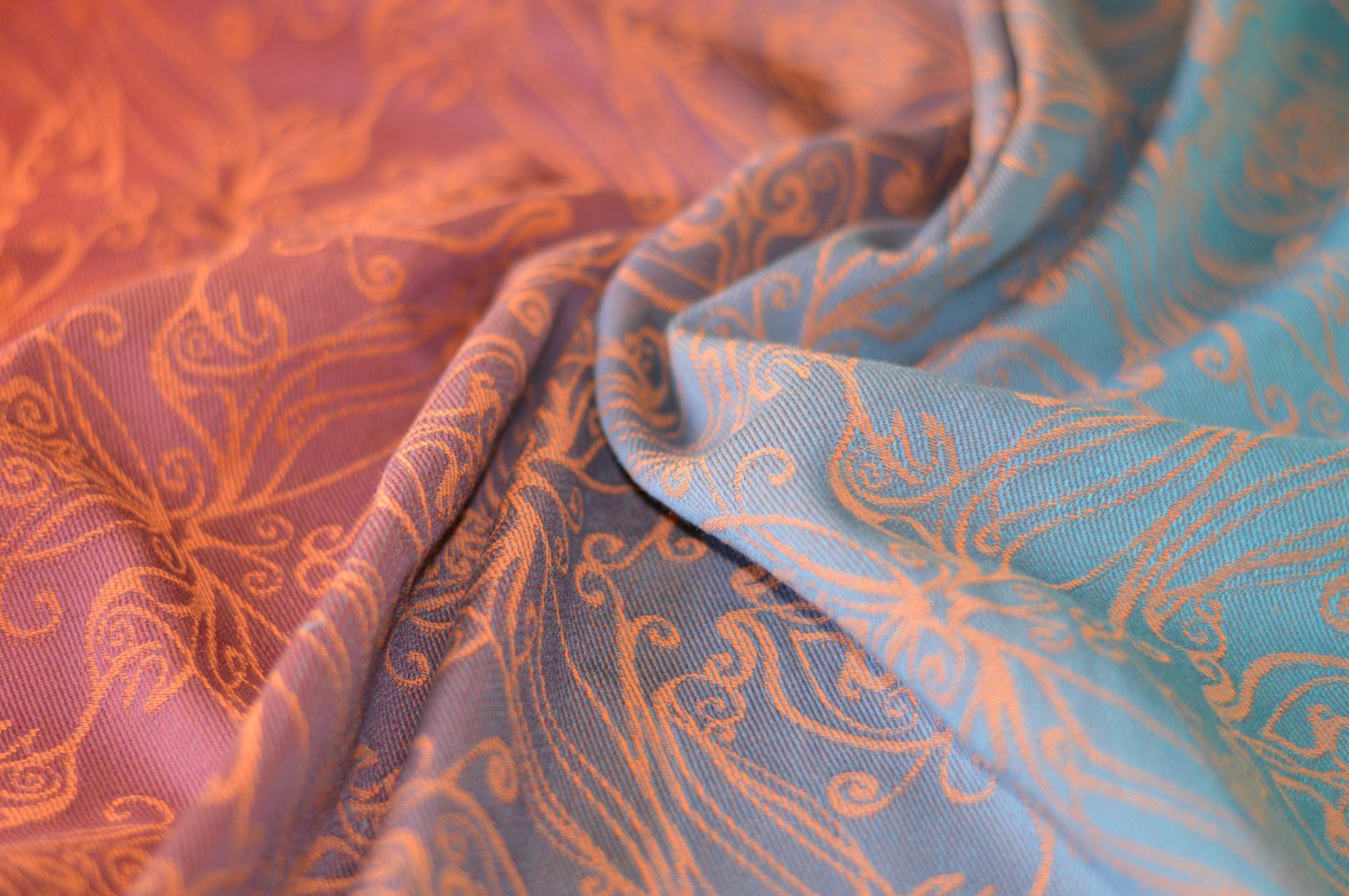 36391966_2112171475464566_6469263213648150528_o