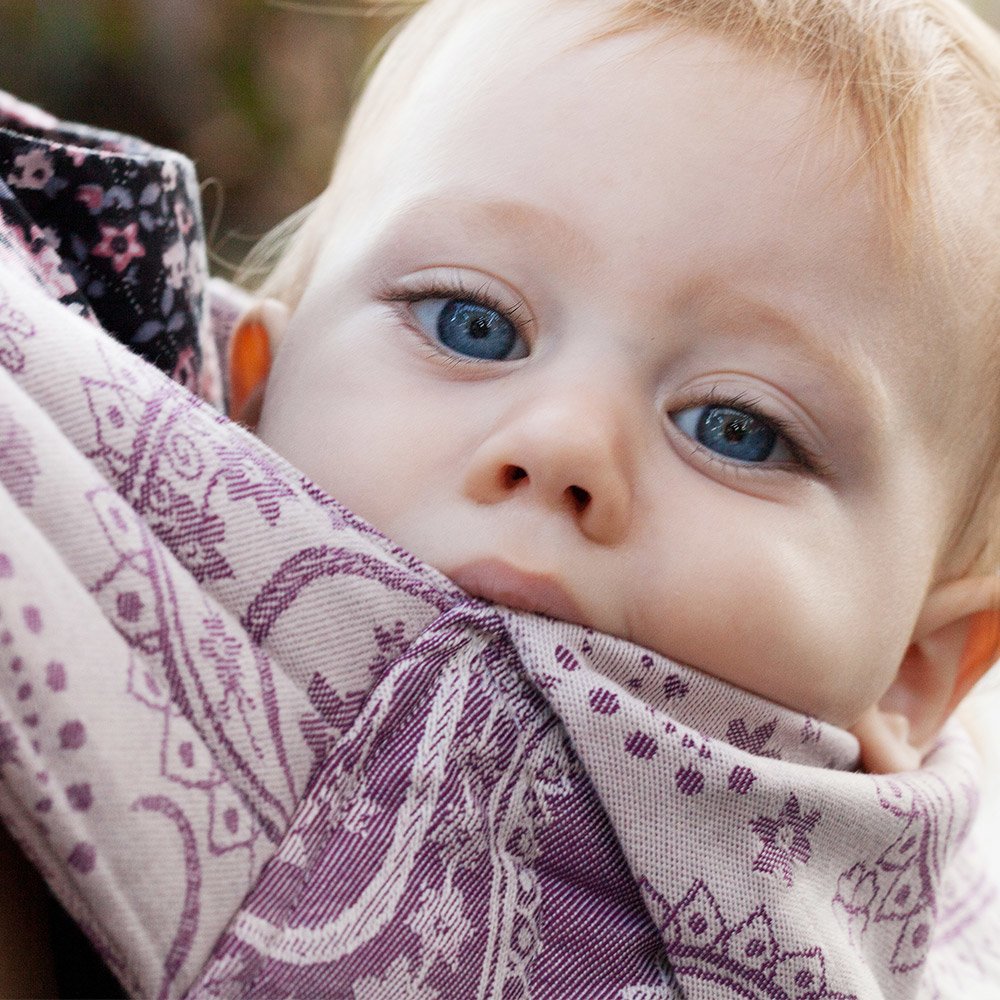 toddler-size-fly-tai-baby-carrier-limited-edition-persian-paisley-orchid_7