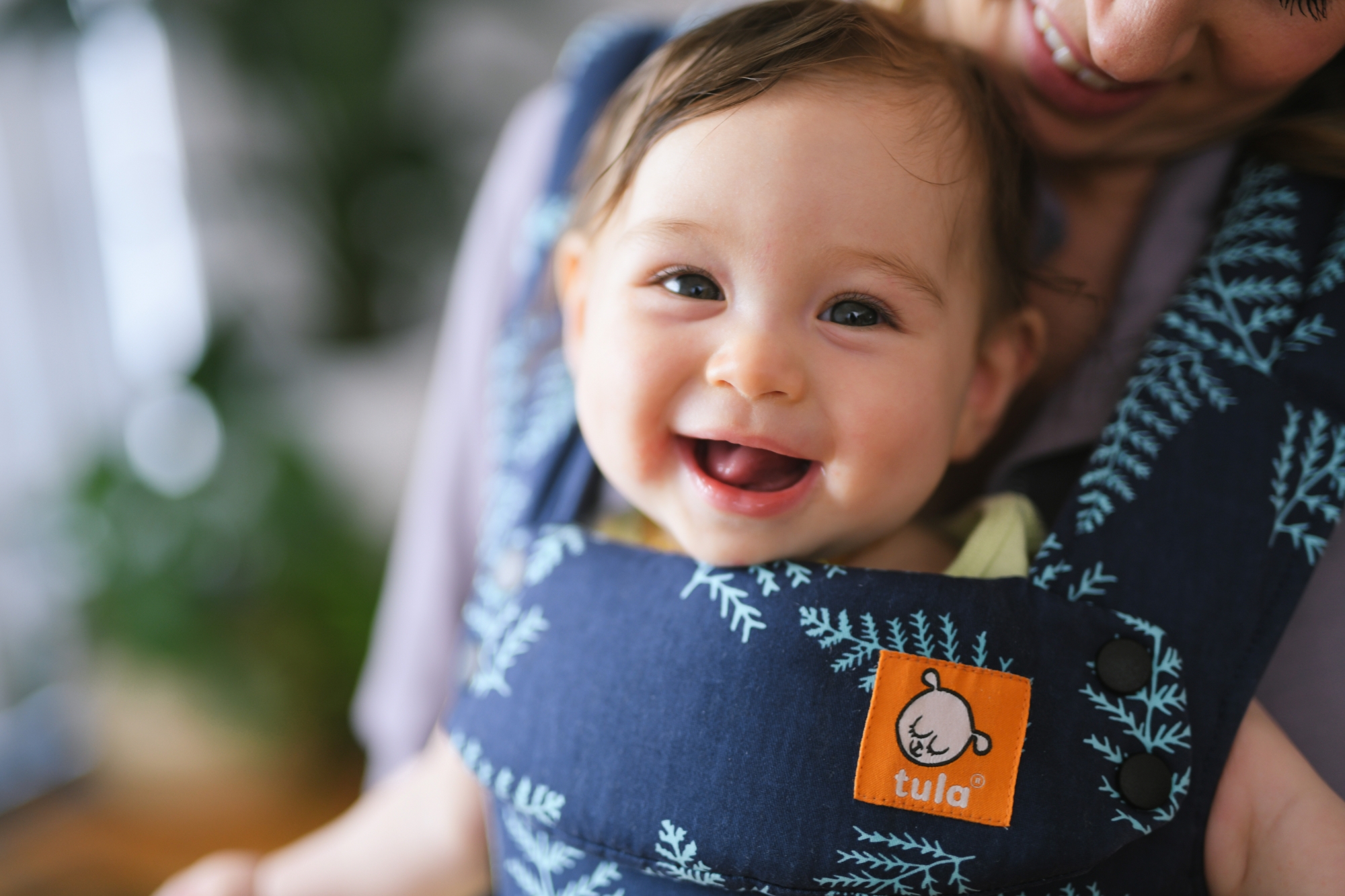 l_dsc-8036-1533732813