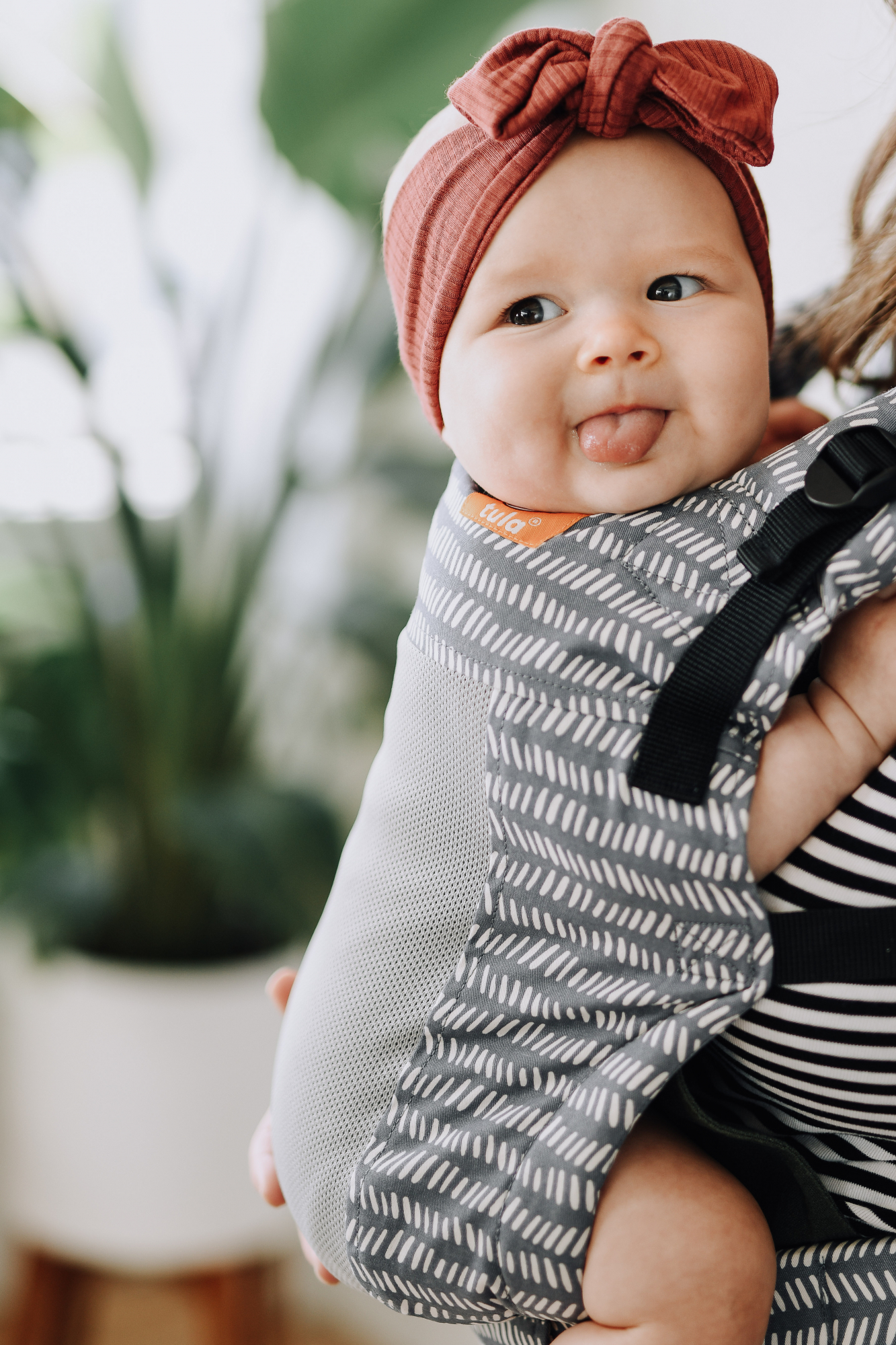 l_dsc-6646-1547198329