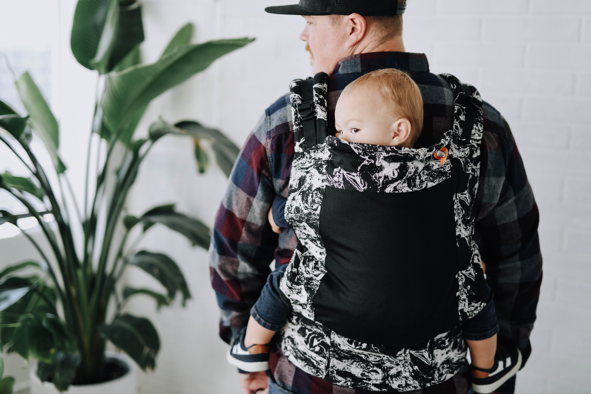 l_dsc-7017-1547198888