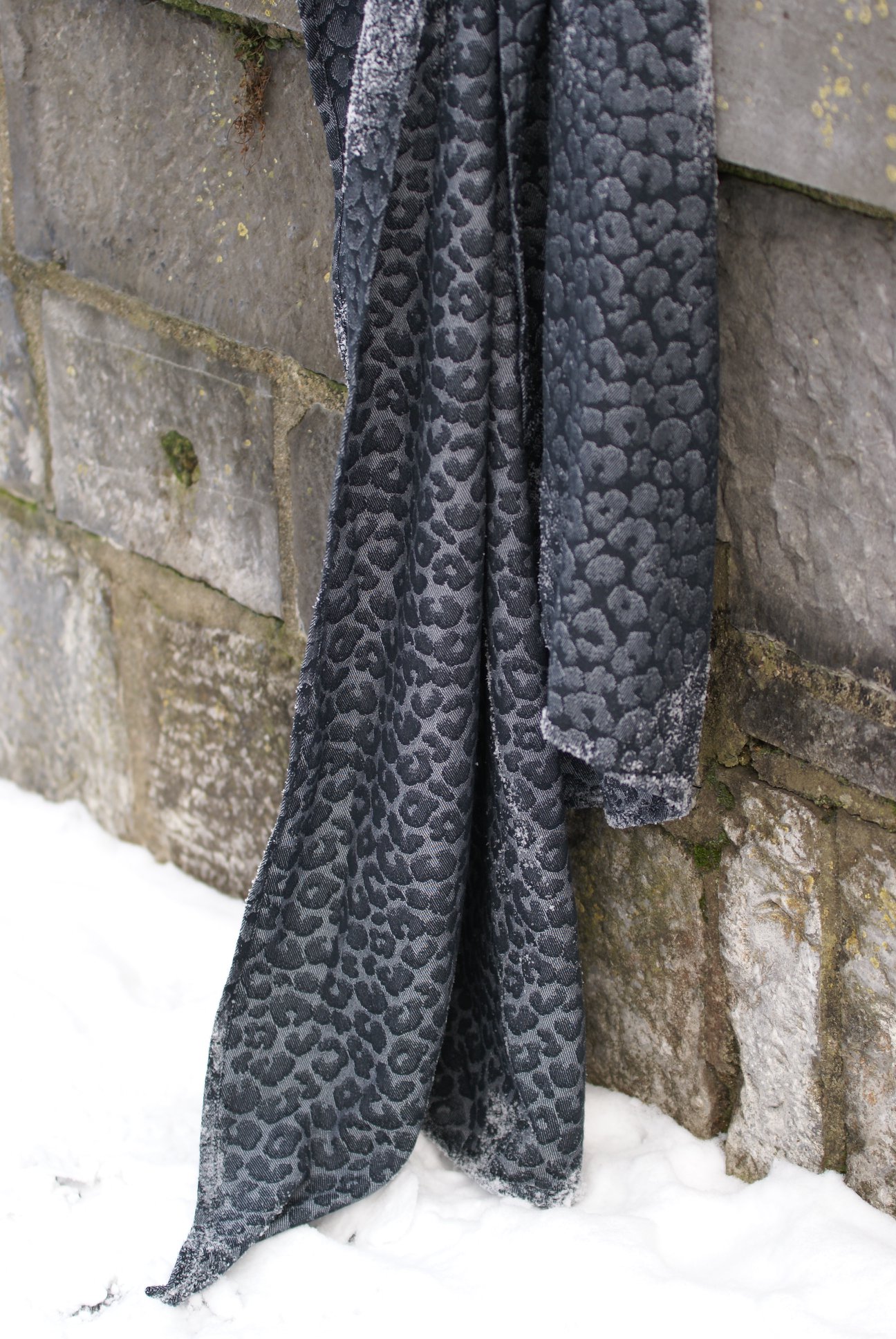 50289639_2428324730515904_6777197297731108864_o