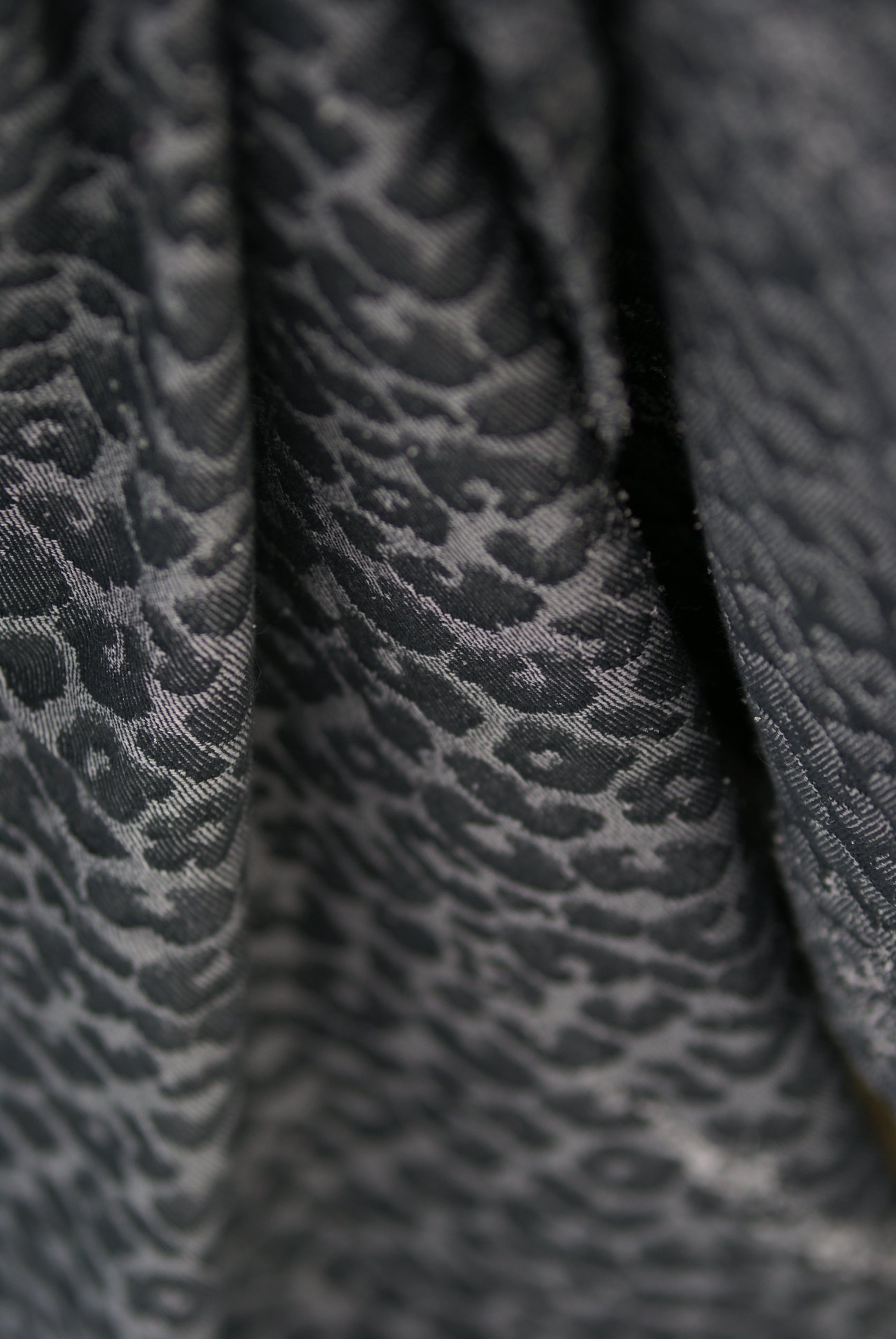 50560850_2428325047182539_2955243915499798528_o