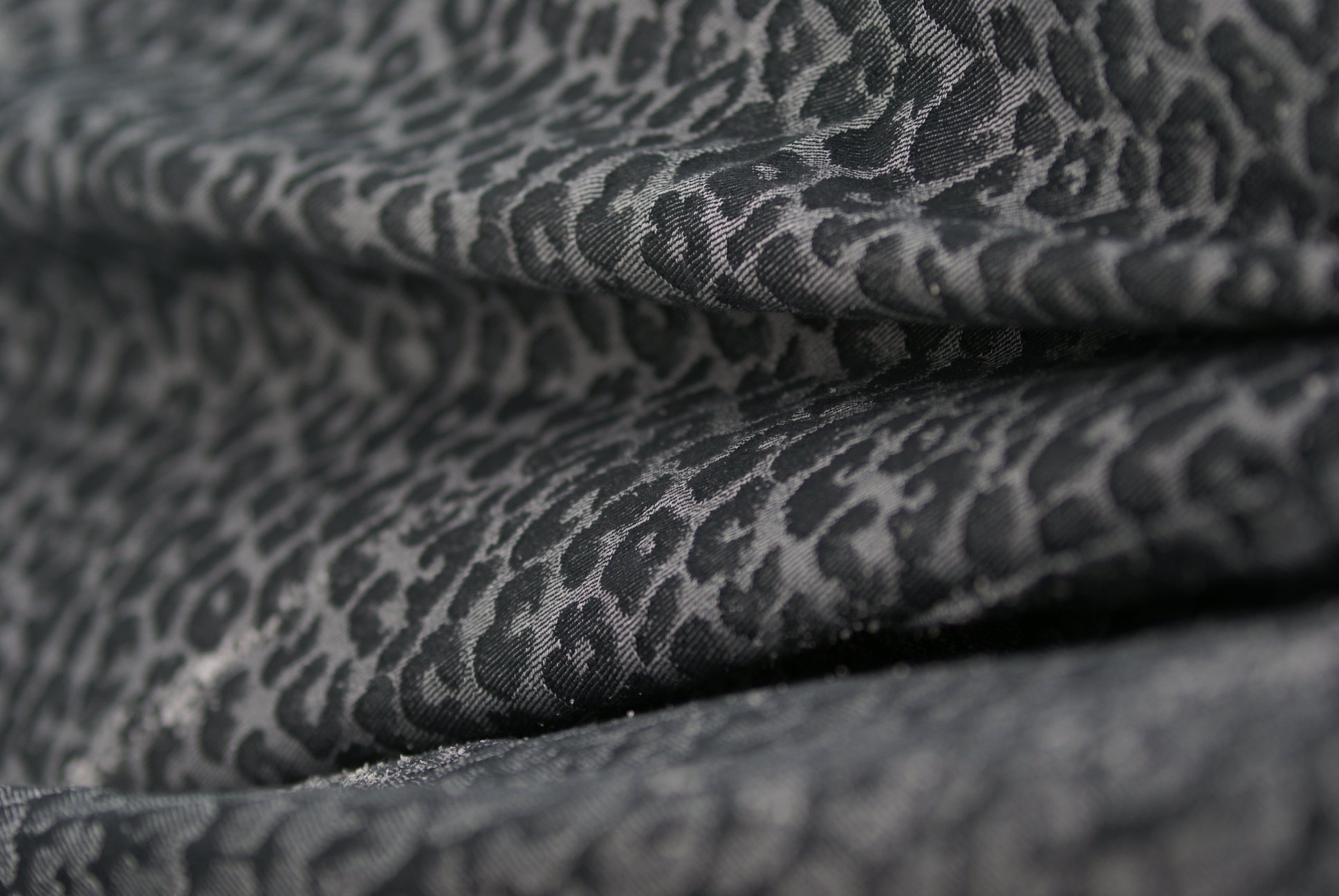 50576477_2428325070515870_7490010471269924864_o