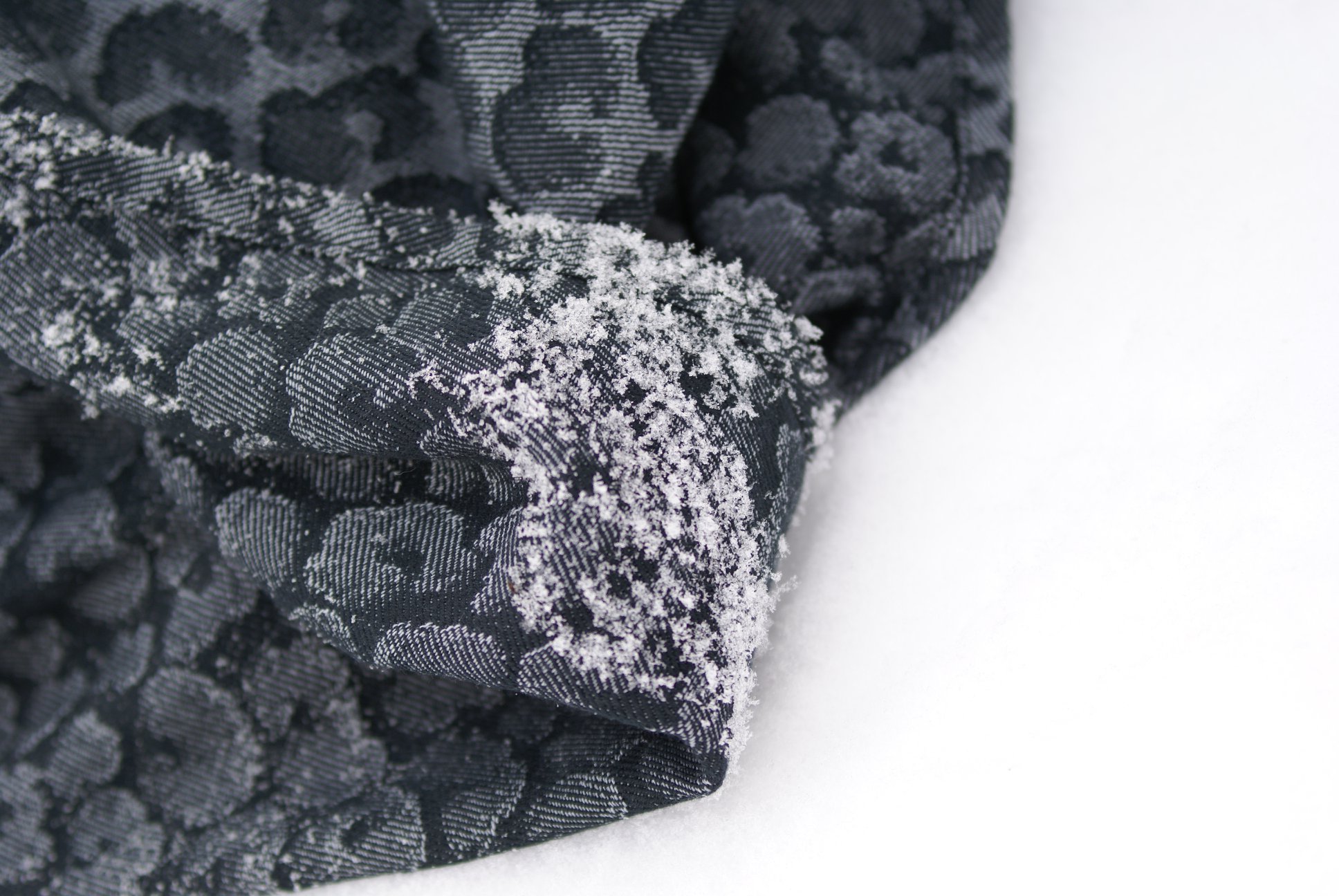 51387363_2428325027182541_5999134568714600448_o